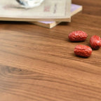 Table basse moderne avec plateau en bois, pieds croisés et étagère