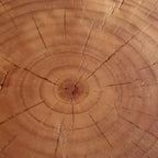 Table basse ronde rustique en bois massif avec finition naturelle