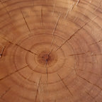 Table basse ronde rustique en bois massif avec finition naturelle