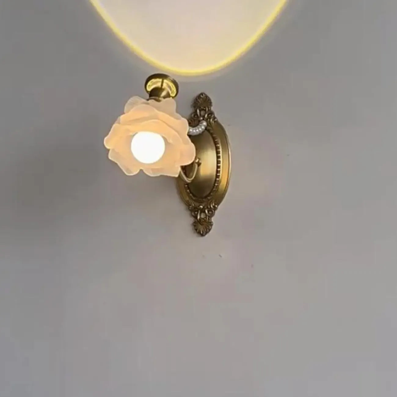 Applique murale moderne en verre à motif floral et LED, câblée, avec 2 lumières