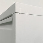 Armoire à chaussures murale en métal blanc pour entrée