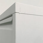 Armoire à chaussures murale en métal blanc pour entrée