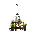 Lustre moderne circulaire en métal noir pour plantes