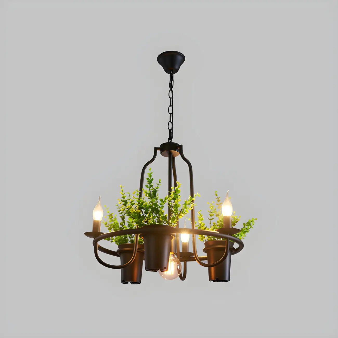 Lustre moderne circulaire en métal noir pour plantes