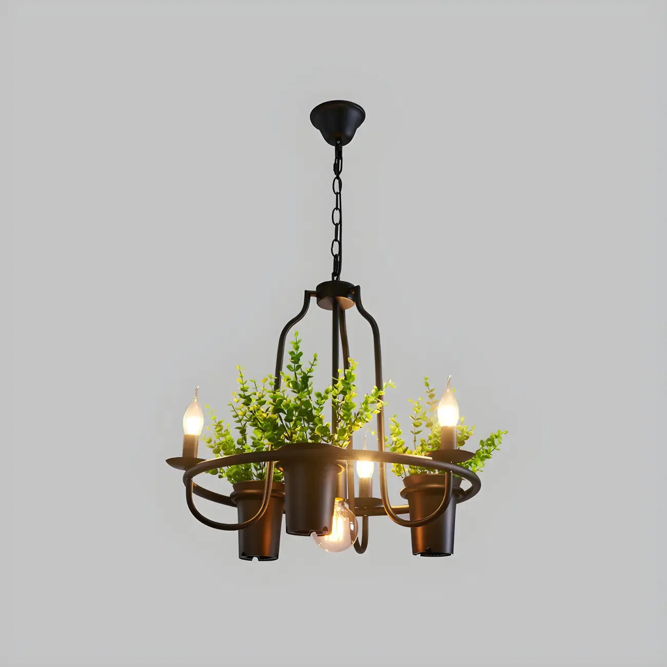 Lustre moderne circulaire en métal noir pour plantes